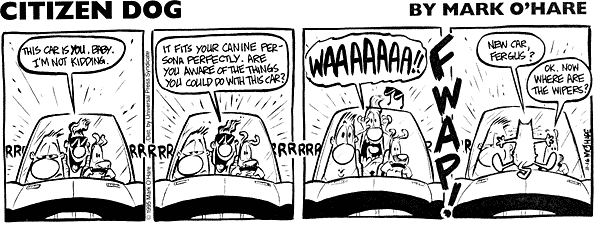 citizendog